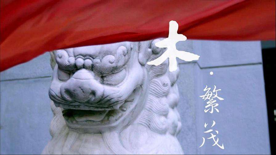 如何拍好招生宣传片?