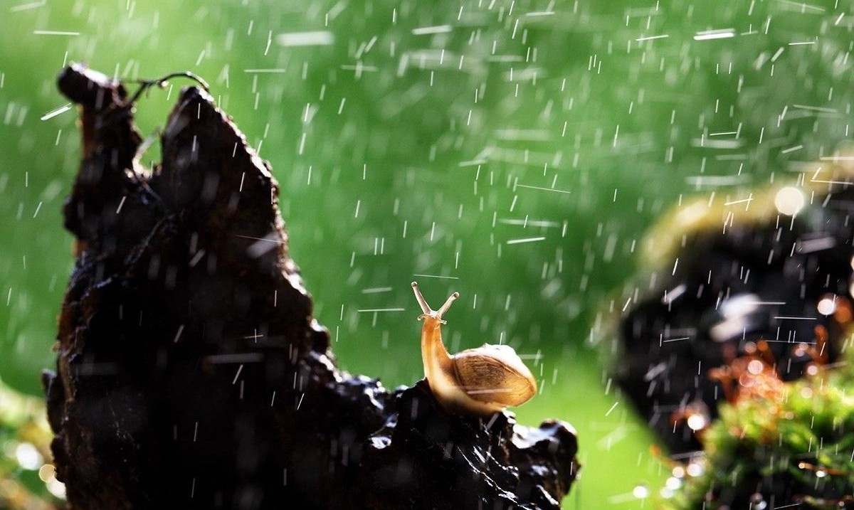 企业微电影怎么拍摄雨中戏?